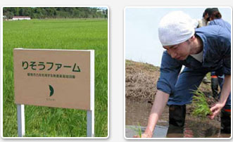 リペアジェルの原材料は無農薬栽培のお米