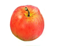 リンゴ型